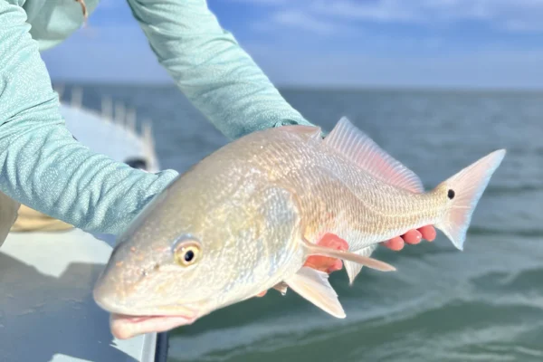 texas redfishing